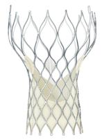 CoreValve