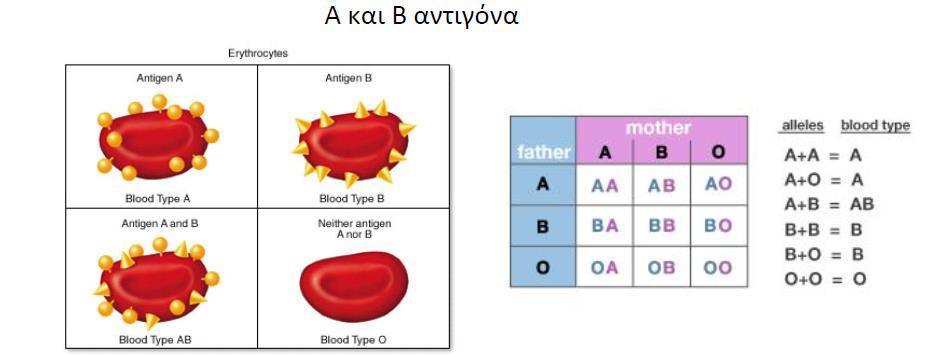 Ομάδες