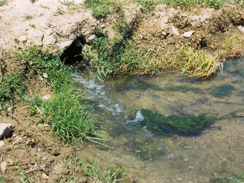 Η τρύπα αυτή αποτελεί τον αγωγό