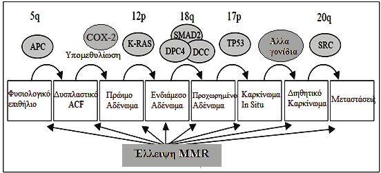 15.,,.,,,, (tumor progression). p16 p53,. p53 17p 70% Fearon Vogelstein,,. ( ) 47, 53, 61, 65-66, 72-82. (MSI).