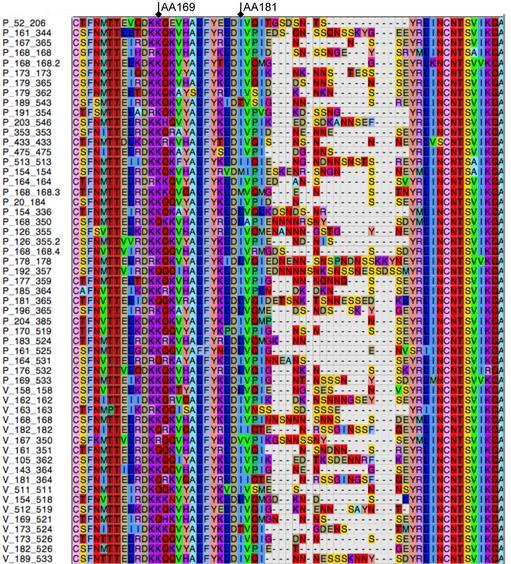 Υπολογιστική Βιολογία Παράδειγμα εφαρμογής: Εξέλιξη & Φιλογένεια (Phylogeny) Δεδομένα (Στο παρελθόν) Φυσιολογικά, ανατομικά και μορφολογικά χαρκτηριστικά Δεδομένα (Τώρα) Βιομοριακές αλληλουχίες: DNA,