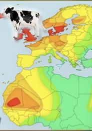 Μεταλλαγές που επιτρέπουν τη διατήρηση της λακτάσης Οι πληθυσμοί της Βόρειας Ευρώπης και κάποιων περιοχών της Αφρικής έχουν μεταλλαγές κοντά στο γονίδιο LCT που επιτρέπουν την παραγωγή λακτάσης στους