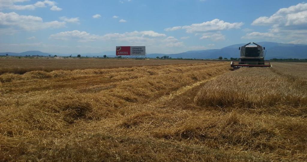 2.3 Εδαφικές αναλύσεις και αγρονομικές παρατηρήσεις Για την ανάλυση του εδάφους του πειραματικού αγρού πραγματοποιήθηκε δειγματοληψία εδάφους από 54 σημεία (βάθους 0-30cm).