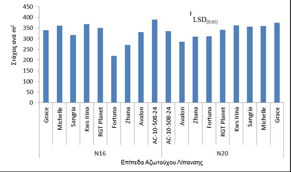 3.2.5 Αριθμός Στάχεων ανά m 2 Ο αριθμός των στάχεων ανά m 2 που υπολογίστηκε, κυμαίνεται κατά μέσο ορό, από 220 για τη ποικιλία Fortuna με 16 μονάδες αζώτου, μέχρι 390 για τη ποικιλία AC-10-508-24 με