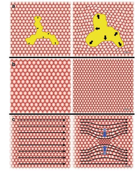 Ventilation Induced Lung
