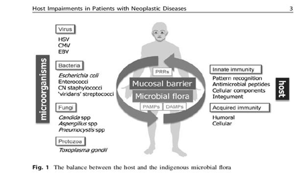 Ισορροπία ξενιστή μικροβιακής χλωρίδας Διαταραχή φυσικής και επίκτητης άμυνας σε ασθενή με νεοπλασία