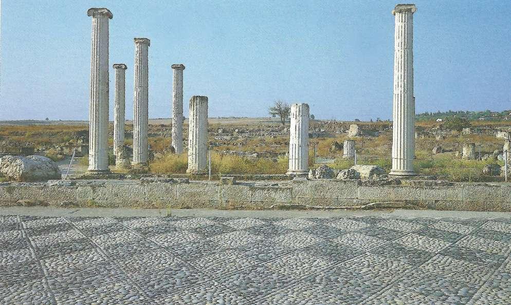 7. Πέλλα 1961. «Οικία Διονύσου» (Δ. Παπακωνσταντίνου-Διαμαντούρου, «Εικόνες και Αναμνήσεις από μια Πέλλα που δεν υπάρχει πια», 2015.