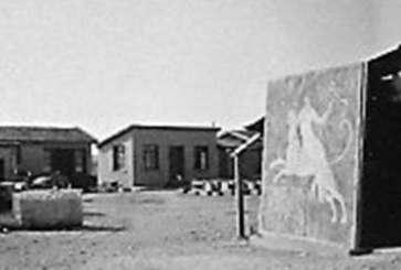 8. Πέλλα 1962. Το εργοτάξιο του αρχαιολογικού χώρου. 9. Πέλλα 1962. Το ψηφιδωτό με το βασιλικό κυνήγι.