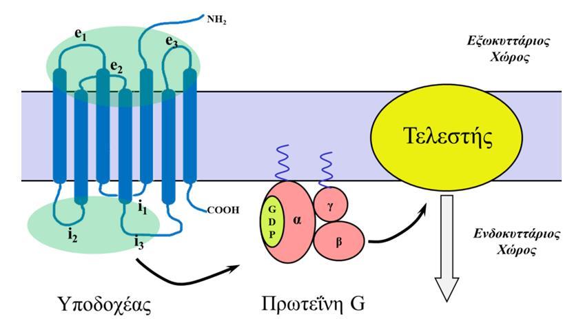 Ντοπαμινεργικοί Υποδοχείς - GPCR Ντοπαμινεργική Σύναψη Φάρμακα Ασθένεια Parkinson Σχιζοφρένεια D