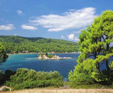 Θερινός κινηµατογράφος 2 φορές την εβδοµάδα ΓΙΑ ΤΟΥΣ ΜΙΚΡΟΥΣ ΜΑΣ ΦΙΛΟΥΣ!