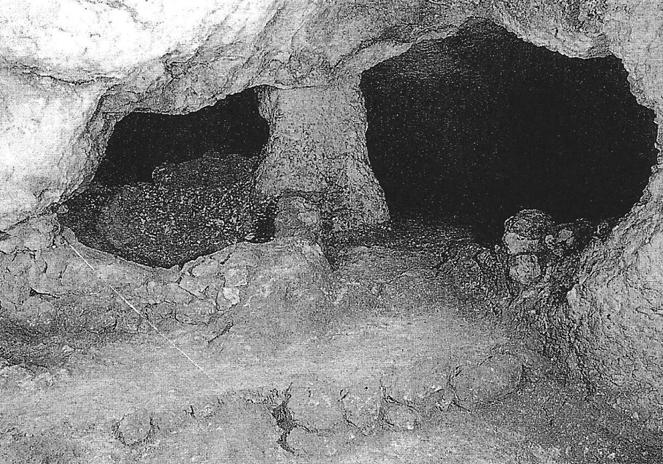 4 ΠΕΠΡΑΓΜΕΝΑ ΙΒ ΔΙΕΘΝΟΥΣ ΚΡΗΤΟΛΟΓΙΚΟΥ ΣΥΝΕΔΡΙΟΥ συγκεντρωμένα οστά στον προθάλαμο και τη νοτιοανατολική κόγχη του τάφου (Λεμπέση 1967, 202-203).