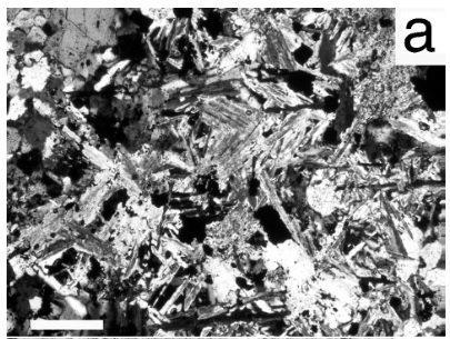 (IV) Пропилитска алтерација. Најголемиот дел од околните карпи на Плавица содржат различни количини на епидот, хлорит, серицит, калцит, рутил и магнетит. Слика 11.