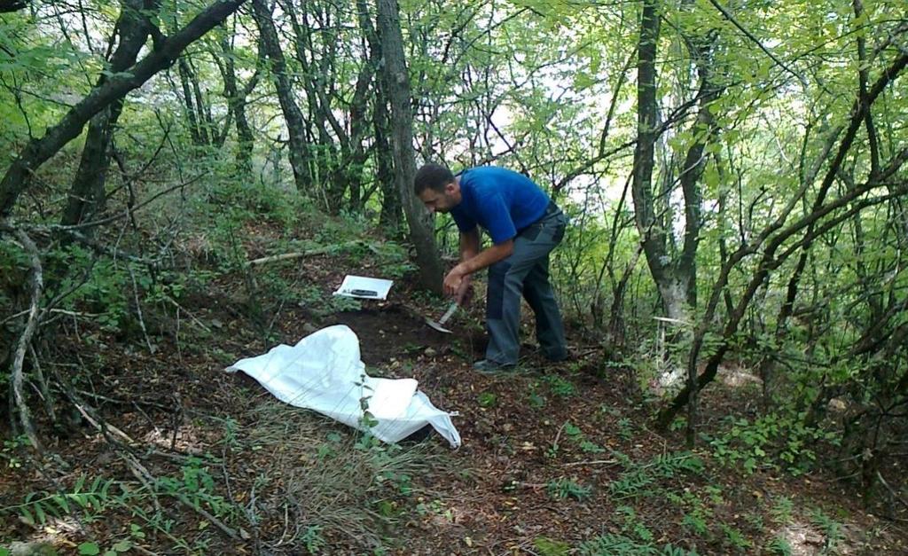 ореоли на расејување (rock chip) (изработена од Рио Тинто) дава една покомплетна слика за понатамошните цели на геолошки истраги.