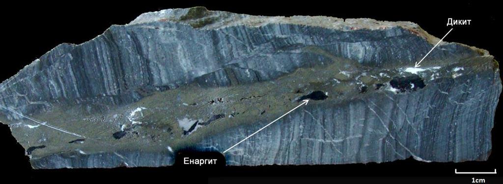 Енаргитски жици со злато (сл. 20) се лоцирани најмногу во пределот на старите подземни работи на Златица. Се карактеризира со кварц-пиритенаргитски жици.