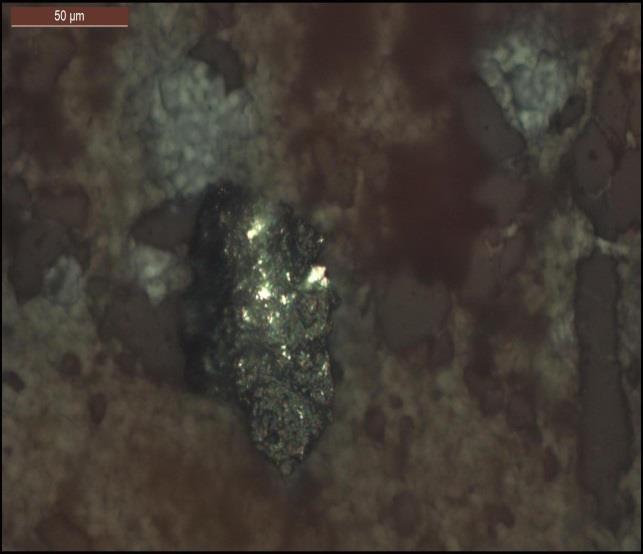 Во поглед на минерализацијата, за овој дел од истражуваното наоѓалиште Плавица, посебен куриозитет претставува златоносната минерализација која се јавува во најразлични морфолошки форми и просторна