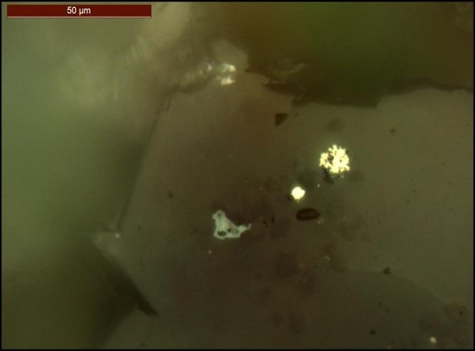 Microphoto of individual grain of native gold in shape of half-moon in silicified basis. Paralle nicols, 3g x 400 II. Слика 35.