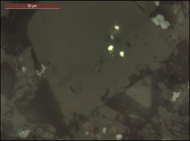 Microphoto of branched cluster of native gold and grain of gold in quartz crystal. Prallel nicols, 3g x 630 II. Слика 36.