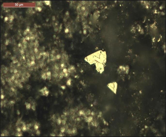 е во асоцијација со покрупни агрегати на самородно злато кои на повеќе места се развиени во дополнителните идиоморфни кристали на кварц (сл. 37). Слика 35.