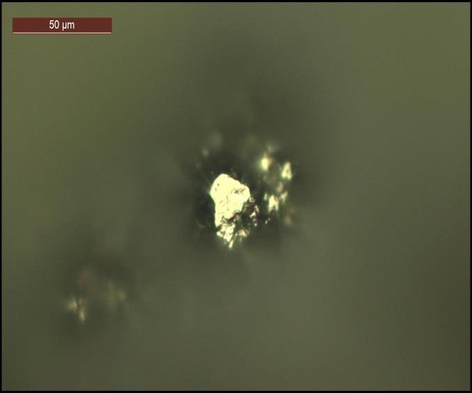 Microphoto of multiphase aggregate of native gold with Au-Ag-As-telurides in silicified cavern. Parallel nicols, 3g x 400 II. Слика 36.