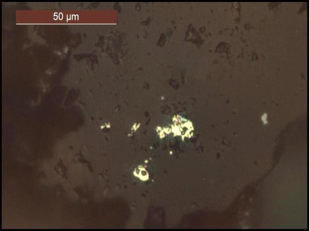 Microphoto of aggregate of native gold as a relict in primary siulphide grain in quartz basis. Parallel nicols, 3g x 400 II. Слика 37.