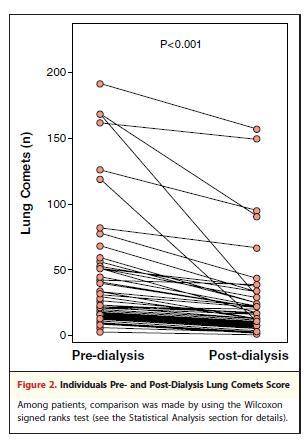 Μετά την αιμοκάθαρση ο αριθμός των πνευμονικών κομητών μειώνεται ακολουθώντας την αφαίρεση των υγρών - The mean and the median number of pre-dialysis LS were 33 and 18, respectively.