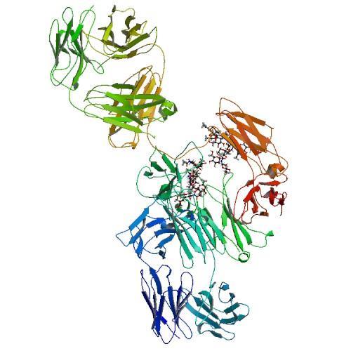 ΟΜΑΛΙΖΟΥΜΑΜΠΗ Το Omalizumab είναι