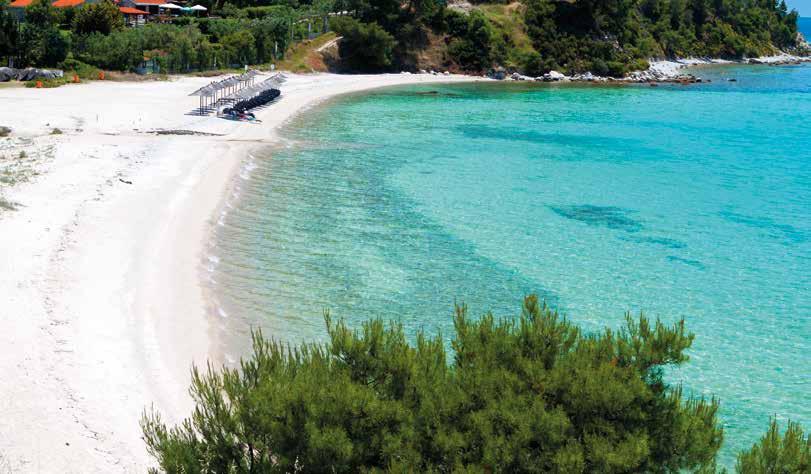 SUM MER time ΞΕΝΟΔΟΧΕΙΑ ΣΤΗ ΧΑΛΚΙΔΙΚΗ PORTO CARRAS SITHONIA 5* Το Porto Carras