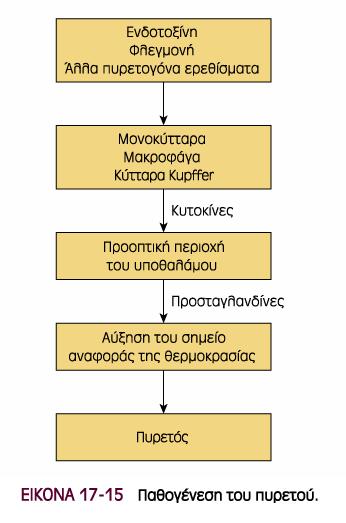 θερµορρύθµισης λειτουργούν