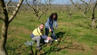 Οι Καινοτομίες του AgroStrat Ολοκληρωμένο Σχέδιο Διαχείρισης για εντατικά καλλιεργούμενες περιοχές, προκειμένου να αντιμετωπιστούν τα προβλήματα που εμφανίζονται σε αυτές είτε μεμονωμένα, είτε μέσω