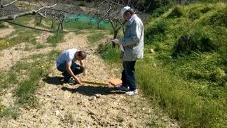 Προσδιορισμός δεικτών ποιότητας εδάφους για περιοχές όπου καλλιεργείται κελυφωτό φιστίκι και γίνεται διάθεση των αποβλήτων κατεργασίας τους, ώστε να μπορεί να εκτιμηθεί ο κίνδυνος υποβάθμισης του