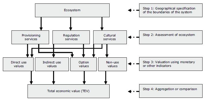 Ενδεικτική διαδικασία οικονομικής αποτίμησης Οικοσύστημα Βήμα 1: Γεωγραφικός προσδιορισμός των ορίων του συστήματος Υπηρεσίες Προσφοράς Υπηρεσίες Ρύθμισης Πολιτισμικές Υπηρεσίες Βήμα 2: Αποτίμηση του