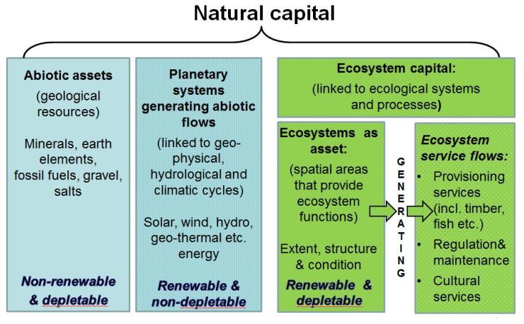 United Nations, Statistics Division. 2014. Towards a definition of natural Capital. (https://uns