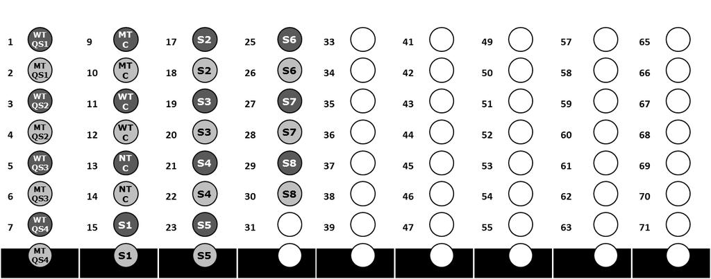 Κενή θέση Empty position WT QS 1 MT QS 1 WT QS 2 MT QS 2 Πρότυπα Quant διαλύματα standards Quant WT QS MT WT 3 QS 3 QS MT 4 QS 4 Μάρτυρες εκτέλεσης Run controls ανάλυσης Δείγματα Samples MTC MTC S7