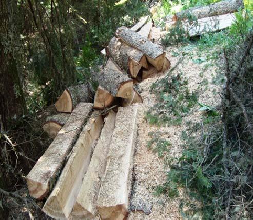 Στοιβαζόμενο ξύλο ( ξύλο θρυμματισμού,