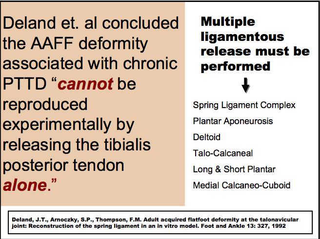 of spring ligament and deltoid stretch