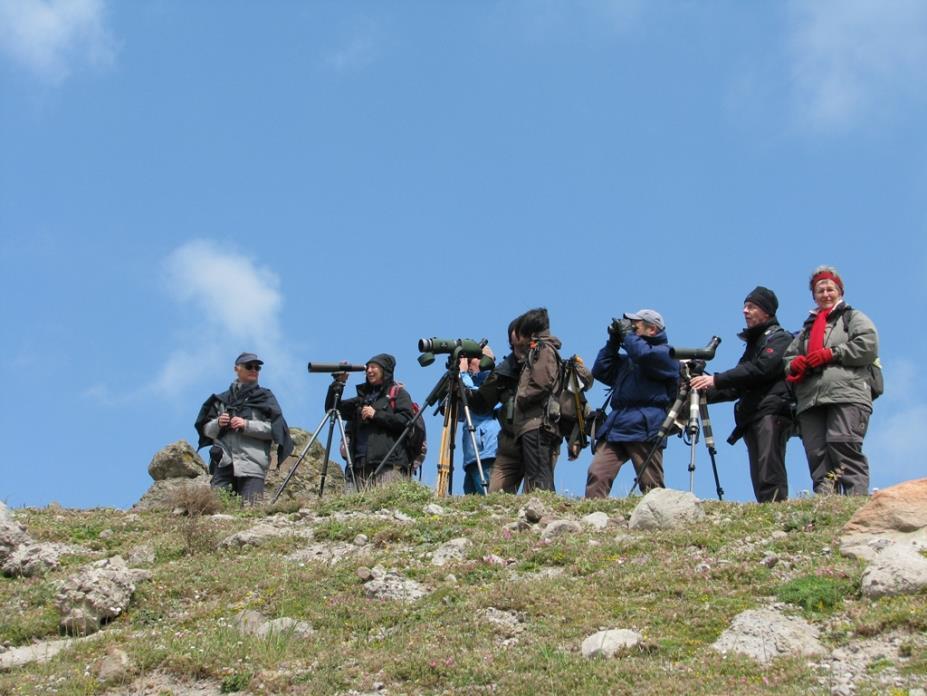 Η προστασία των Όρνιων στη Μεσόγειο, έχει επιφέρει οικονομικά οφέλη από την ανάπτυξη του οικοτουρισμού (400-800 άτομο / εβδομάδα) μέσω της