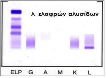 μονοκλωνικής