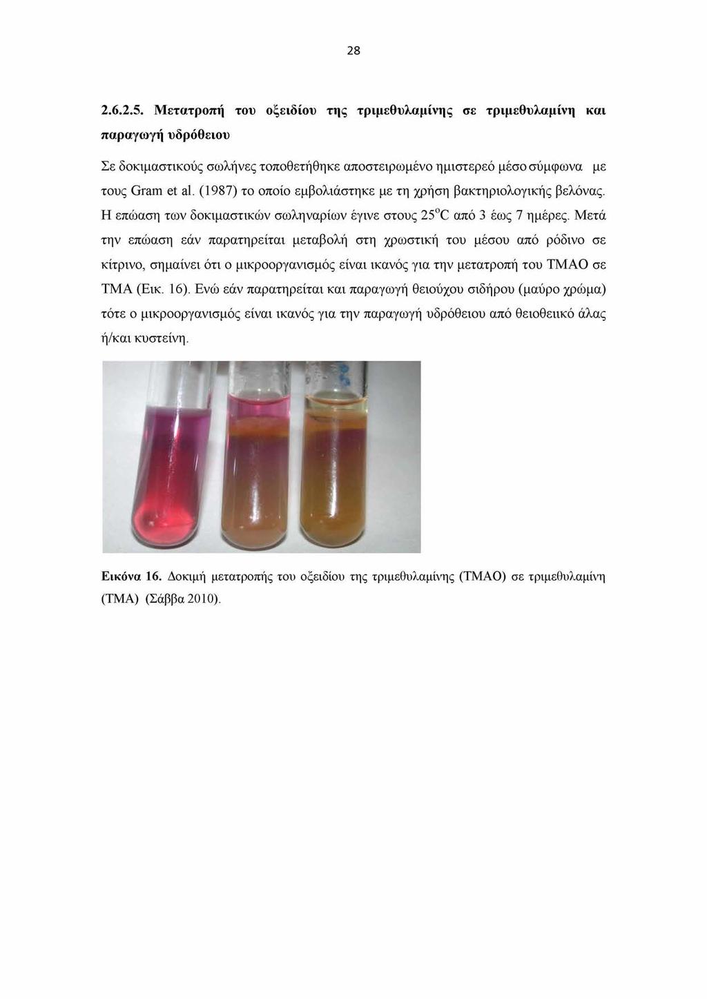 28 2.6.2.5. Μετατροπή του οξειδίου της τριμεθυλαμίνης σε τριμεθυλαμίνη και παραγωγή υδρόθειου Σε δοκιμαστικούς σωλήνες τοποθετήθηκε αποστειρωμένο ημιστερεό μέσο σύμφωνα με τους Gram et al.