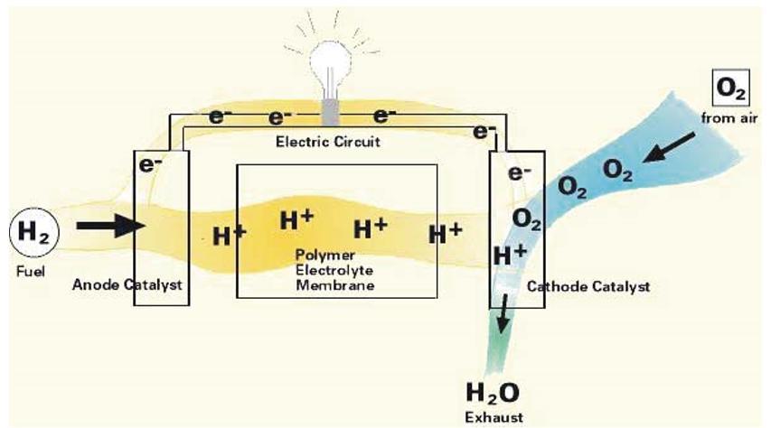 καυσίμου αποτελείται από μία άνοδο (ένα αρνητικό ηλεκτρόδιο που απωθεί τα ηλεκτρόνια), μία μεμβράνη ηλεκτρολύτη στο κέντρο, και μία κάθοδο (ένα θετικό ηλεκτρόδιο που προσελκύει τα ηλεκτρόνια).