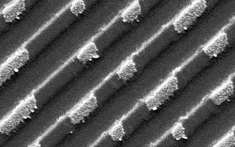 Figura 12.12. Imagine a datelor scrise pe un CD cu polimeri care reflectă lumina, imagine mărită de 10000 de ori, sursa: http://www.polymersolutions.