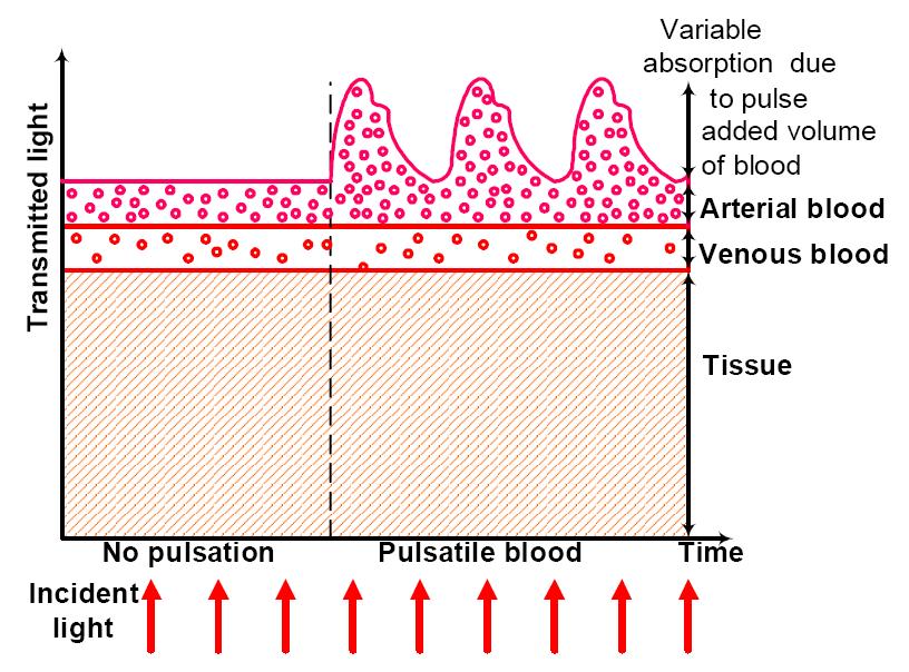 Απορρόφηση: Παλμικό Οξύμετρο Λειτουργία: Μέτρηση του οπτικού σήματος που μεταδίδεται μέσα από το δάχτυλο Το φως περνά από στρώματα ιστών (διαφορετικό