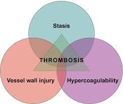 Παθογένεια θρόμβωσης O Rudolf Virchow, το 1856, συνόψισε την παθογένεια της θρόμβωσης στην τριάδα: στάση αίματος-βλάβη ενδοθηλίουυπερπηκτικότητα Οι παρατηρήσεις που συγκεντρώθηκαν από το 1950 μέχρι