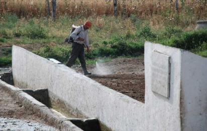 σύγχρονη αιγοπροβατοτροφία αποτελεί ένα δυναµικά εξελισσόµενο κλάδο της πρωτογενούς παραγωγής της χώρας µας.