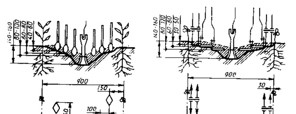 A. B. Yumshatuvchi ishchi organlarni o rnatish. (90 sm qator oralig i) Pichoq ishchi organlarni o rnatish (90 sm qator oralig i). Nazorat savollari. 1.