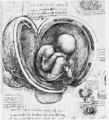Ενδείξεις χορήγησης Ακυκλοβίρης σε έγκυο και νεογνό Από την 36 η εβδομάδα κύησης μέχρι τον τοκετό Σε νεογνά με