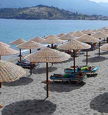 ΟΜΠΡΈΛΕΣ & ΤΡΟΠΙΚΆ ΥΛΙΚΆ ΟΜΠΡΕΛΑ TENERIFE ΑΠΟ