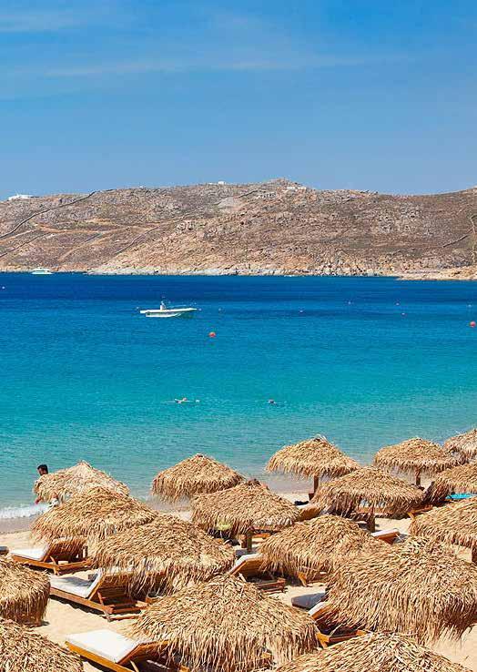 Ομπρέλες ΟμπρέλεςΤροπικά Τροπικά υλικά