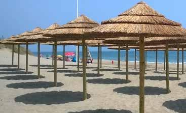 ELEGANT ΑΠΟ THATCH (ΜΕΓΑΛΟ ΠΛΑΚΙΔΙΟ)