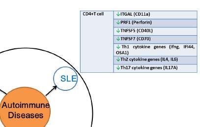 Η ειδική γονιδιακή υπομεθυλίωση, ιδιαίτερα γονιδίων που σχετίζονται με την αυτοαντιδραστικότητα, διαδραματίζει σημαντικό ρόλο στην παθογένεση του ΣΕΛ