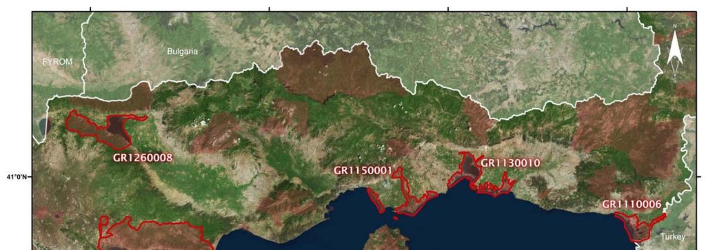 Προστατευόμενες περιοχές για τη Νανόχηνα στην